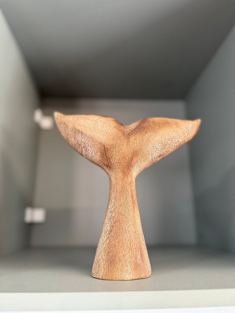 Maravillhoso Estudio em SSA